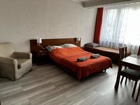 Apartment 006 - Kraków - Dębniki district